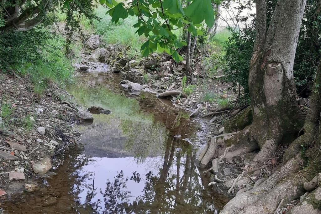 Studio Tout Confort Dans Maison De Caractere La Bastide  Esterno foto